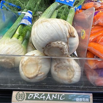 99 Ranch Market - Fennel - Seafood Markets Near Me - Van Nuys, California 99 Ranch Market - Fennel - Seafood Markets Near Me - Van Nuys, California