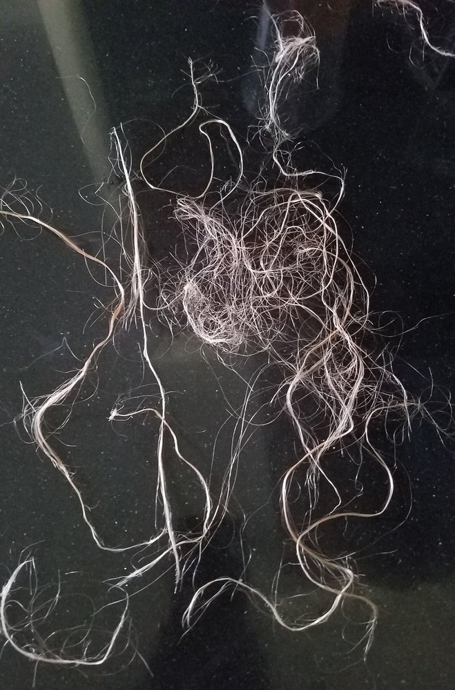 SHEAR DESIGNS Updated September 2024 1167 Jericho Tpke, Commack