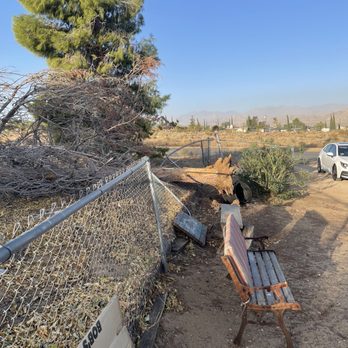 On Time & Ready Rubbish Cleanup - Tree fallen - Junk Removal & Hauling Near Me On Time & Ready Rubbish Cleanup - Tree fallen - Junk Removal & Hauling Near Me