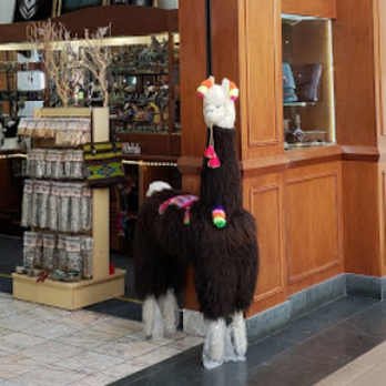 Native Spirit - Gift Shops Near Me - Woodbridge, New Jersey Native Spirit - Gift Shops Near Me - Woodbridge, New Jersey