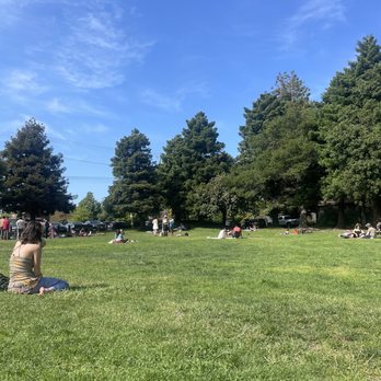 The Hidden Cafe - Grass area outside cafe - Coffee & Tea Near Me - Berkeley, California