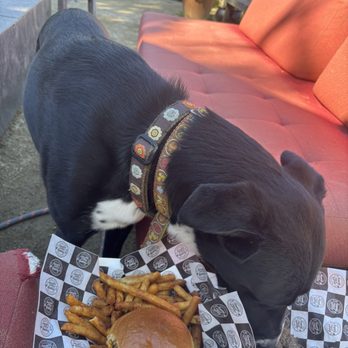 Happy Place Eatery - Food truck offering... Smash burger for me and dog version of a smash burger... - Burgers Near Me - Ventura, California Happy Place Eatery - Food truck offering... Smash burger for me and dog version of a smash burger... - Burgers Near Me - Ventura, California
