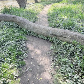 Caldwell Woods - Parks Near Me - Chicago, Illinois
