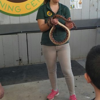 Wildlife Learning Center - Check out the staff talks. We learned tons about this cool skittles snake. We were able to pet and hold it too. - Zoos Near Me - Sylmar, California Wildlife Learning Center - Check out the staff talks. We learned tons about this cool skittles snake. We were able to pet and hold it too. - Zoos Near Me - Sylmar, California