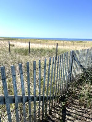 Herring Cove Beach by null