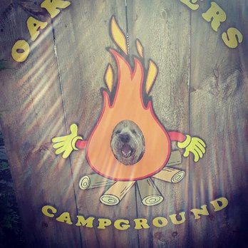 Oak Embers Campground - Patterson posing! - Campgrounds Near Me - West Greenwich, Rhode Island