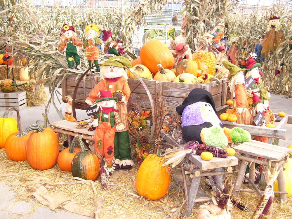 WALKER FARMS & GREENHOUSE Updated October 2024 11 Photos 5253 E