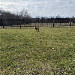 Northbark Dog Park