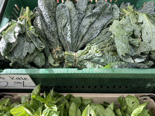 Noe Valley Farmers Market by null