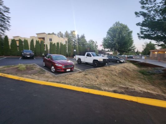 Dick's Drive-In by null