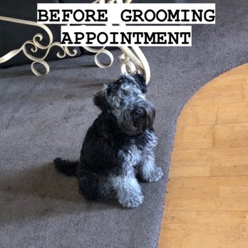 Puppy Luv Pet Grooming - Pet Groomers Near Me - Bellflower, California Puppy Luv Pet Grooming - Pet Groomers Near Me - Bellflower, California