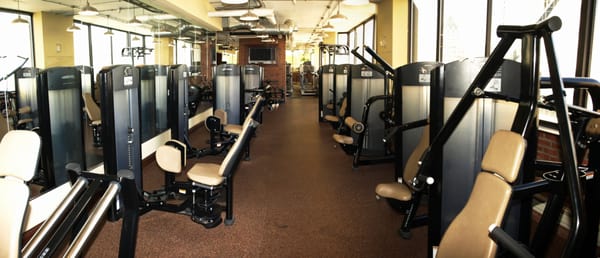 Millennium Park Plaza by null