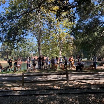 Ugly Dog Adventures - Monthly community pack walks and Irvine regional - Dog Walkers Near Me