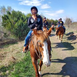 Christines Horseback Riding