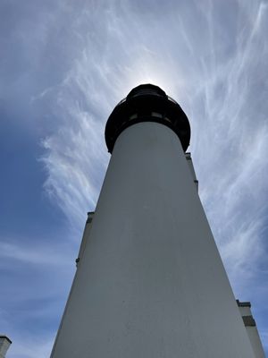 Yaquina Head Lighthouse by null