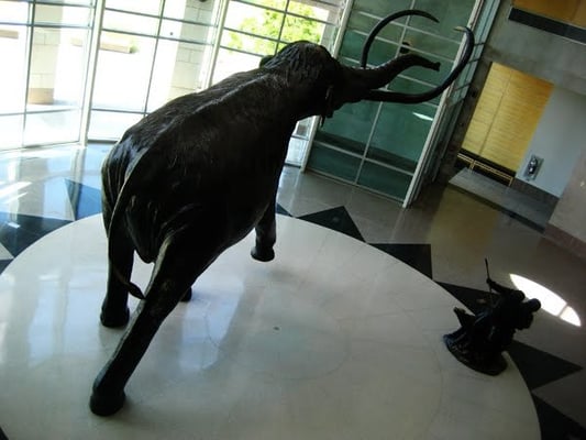 Sam Noble Oklahoma Museum of Natural History by null