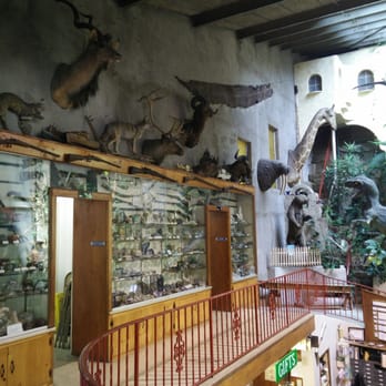 Lost River Caverns - The display you visit before the tour - Museums Near Me - Hellertown, Pennsylvania