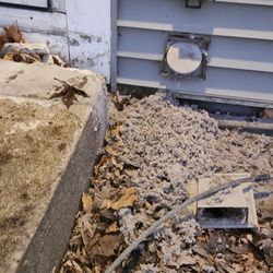 MN Dryer Vent Guys