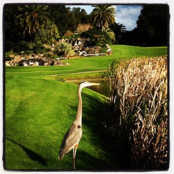 Baseline Golf Course - Golf Near Me - Ocala, Florida