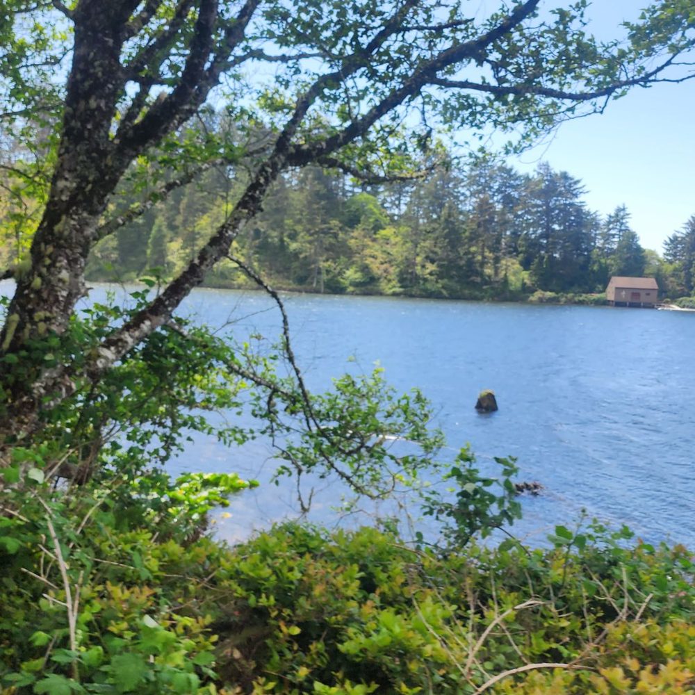 Oregon Coast Scenic Railroad - View - Tours Near Me - Garibaldi, Oregon Oregon Coast Scenic Railroad - View - Tours Near Me - Garibaldi, Oregon