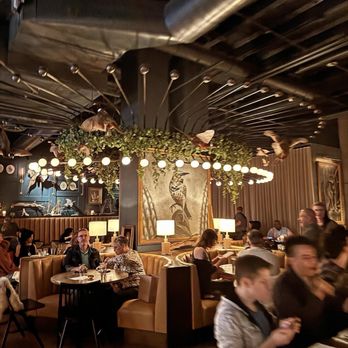 Wren & Wolf - Cocktail Bars Near Me - Phoenix, Arizona