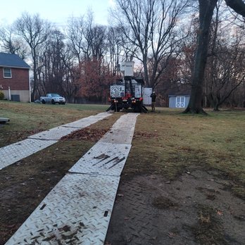 Golden Tree Service - Tree Services Near Me Golden Tree Service - Tree Services Near Me