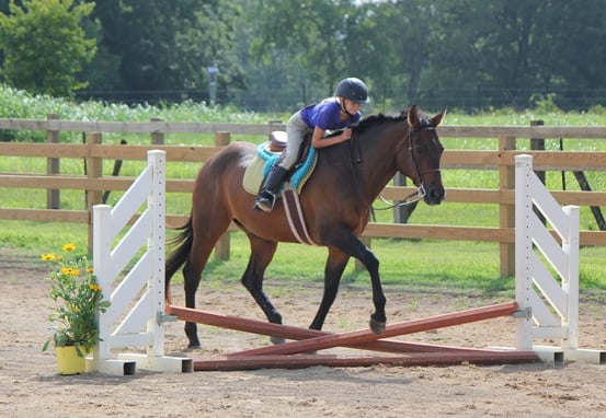 Stone Gate Farm - equestrian in Knoxville, TN