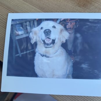 Perla's - Ms Sawyer was welcomed so warmly on the patio. She had her photo taken for the Polaroid wall! - Seafood Near Me - Austin, Texas