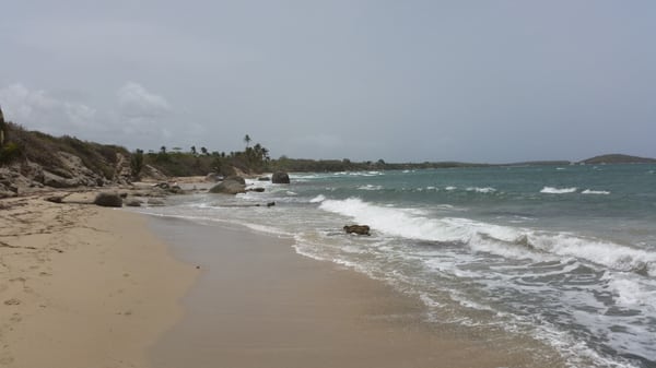 The Vieques Guesthouse by null