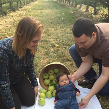 Lewin Farms - Enjoyed Apple picking with my family. Unfortunately most of the apples were on the ground. - Pick Your Own Farms Near Me - Calverton, New York Lewin Farms - Enjoyed Apple picking with my family. Unfortunately most of the apples were on the ground. - Pick Your Own Farms Near Me - Calverton, New York