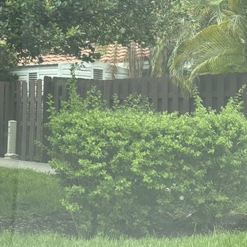 Native Tree Service - Tree Services Near Me - Miami, Florida