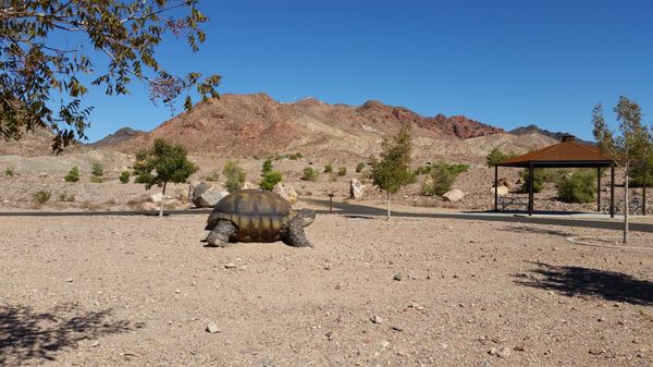 Bootleg Canyon by null