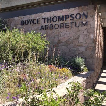 Boyce Thompson Arboretum - Front - Botanical Gardens Near Me - Superior, Arizona