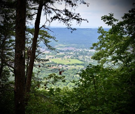 Cloudland Canyon State Park by null