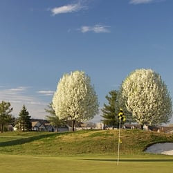 Linfield National Golf Club