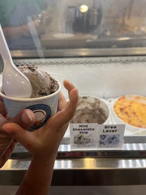 Sarah's Handmade Ice Cream River Road by null