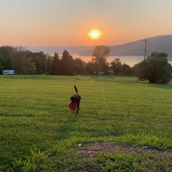 Lakeview Camp Sites - Tent site vieq of Keuka Lake ( non electric ) - RV Parks Near Me - Dundee, New York