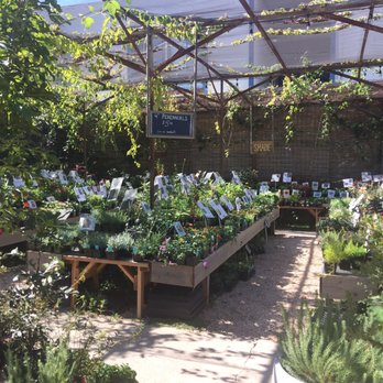 Flowerland - Nurseries & Gardening Near Me - Albany, California