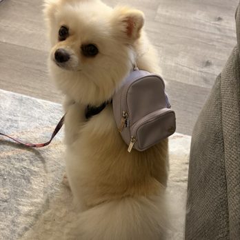 Lululemon - Accessories Near Me - San Diego, California