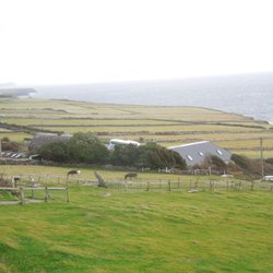 Dingle Sheepdogs Demonstrations & Trials - How beautiful is Ireland?