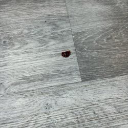 Docs Urgent Care East Haven - Blood dried on floor