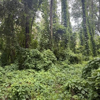 Hamptons Pines Park - Parks Near Me - North Lauderdale, Florida