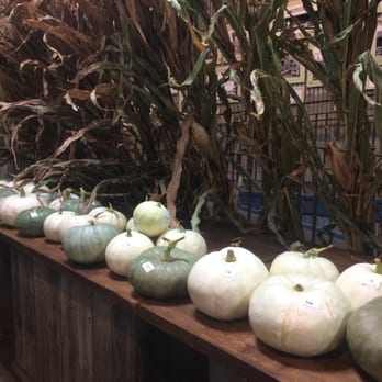 High Hand Nursery - Pumpkins and corn - Nurseries & Gardening Near Me - Loomis, California