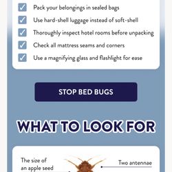 Bed Bug Solutions of New England - Here is some travel tips. illustration helps with identifying a bed bug