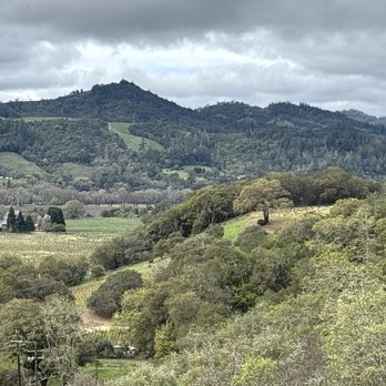 Papapietro Perry Winery - View from our tasting. - Wineries Near Me - Healdsburg, California Papapietro Perry Winery - View from our tasting. - Wineries Near Me - Healdsburg, California