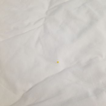 Hampton Inn & Suites Largo - Upon checkin the bed is found to be filled with a previous guest's hair and excrement....the sheet were never changed or cleaned.... - Hotels Near Me - Largo, Florida Hampton Inn & Suites Largo - Upon checkin the bed is found to be filled with a previous guest's hair and excrement....the sheet were never changed or cleaned.... - Hotels Near Me - Largo, Florida