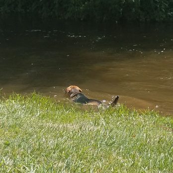 Woodstream Campsite - Campgrounds Near Me - Gainesville, New York
