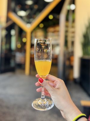 Flecha Cantina by null