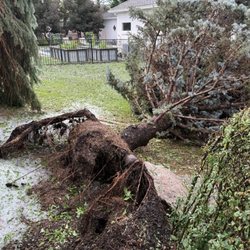 J&A landscaping and Tree Trimming