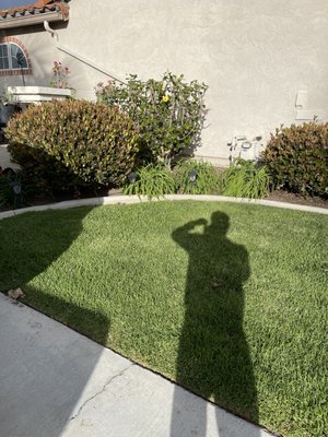 Mendez Gardening on Yelp